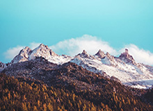 华体会入口：开启极致体育新纪元的入口体验