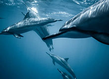 安全体育平台-U23国足创历史的背后